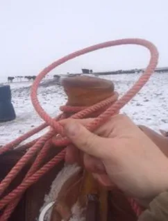 Half-hitching twice at the horn