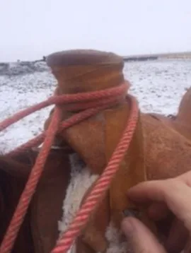 Putting the loop over the horn