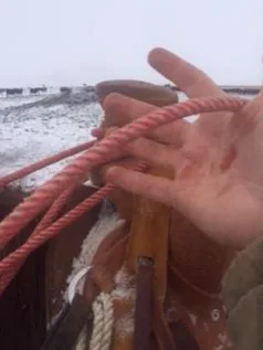 Half-hitching twice at the horn